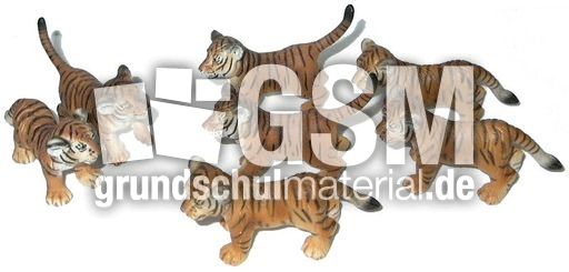 Tiger-2+5.jpg